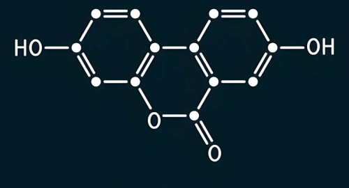 Urolitina A: La Molecola Segreta dell'Intestino Che Combatte Diabete e Cancro